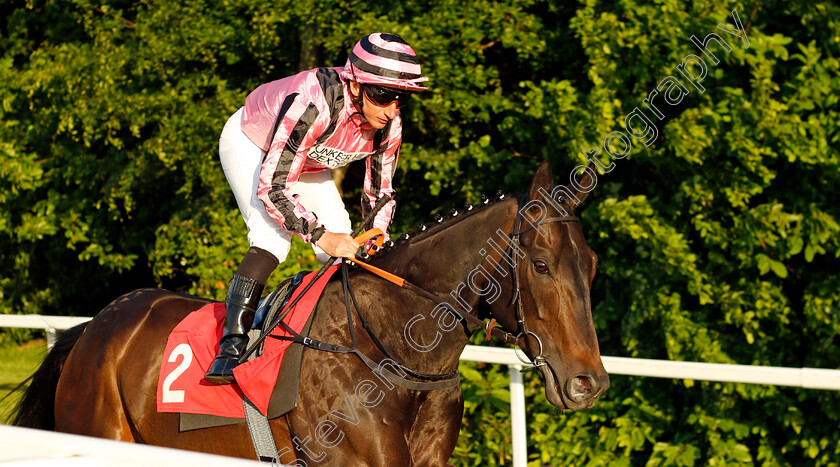 Chichester-0002 
 CHICHESTER (P J McDonald)
Sandown 25 May 2023 - Pic Steven Cargill / Racingfotos.com