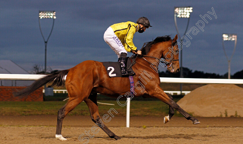 Rommel-0001 
 ROMMEL (Tom Marquand)
Chelmsford 8 Oct 2020 - Pic Steven Cargill / Racingfotos.com