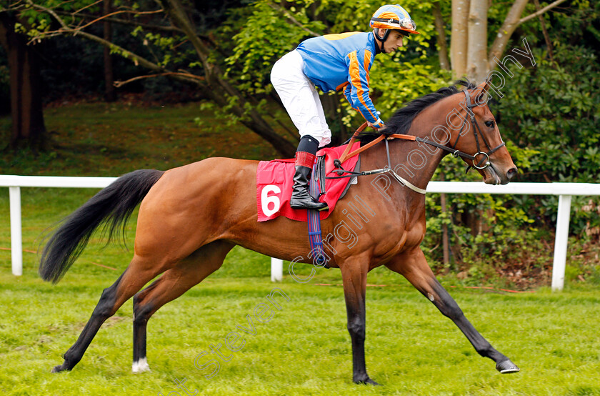 Hourglass-0001 
 HOURGLASS (Antonio Fresu) Sandown 27 Apr 2018 - Pic Steven Cargill / Racingfotos.com