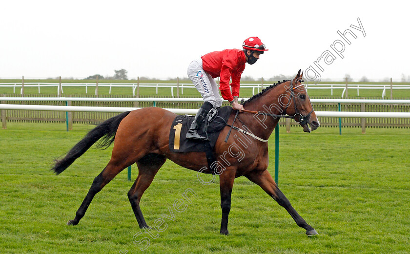 Ainsdale-0002 
 AINSDALE (Clifford Lee) before The Mansionbet Watch And Bet Conditions Stakes
Newmarket 30 Oct 2020 - Pic Steven Cargill / Racingfotos.com