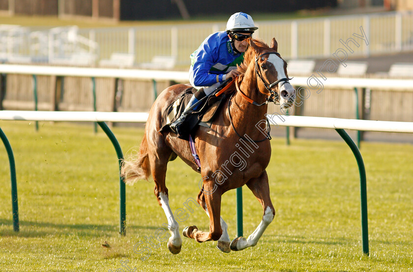 Balgair-0006 
 BALGAIR (Ross Birkett) wins The Close Brothers Invoice Finance Amateur Jockeys Cambridgeshire Handicap
Newmarket 19 Sep 2020 - Pic Steven Cargill / Racingfotos.com