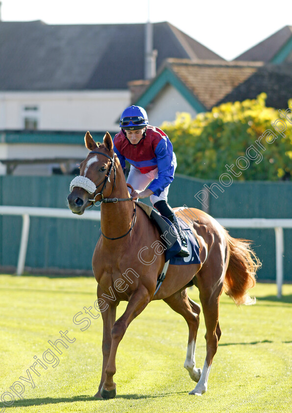 Prosecco-0002 
 PROSECCO (Ryan Moore)
Yarmouth 18 Oct 2022 - Pic Steven Cargill / Racingfotos.com