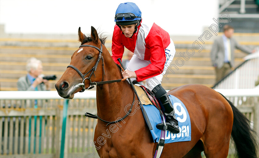 Kirilenko 
 KIRILENKO (Ryan Moore)
Newmarket 8 Oct 2021 - Pic Steven Cargill / Racingfotos.com