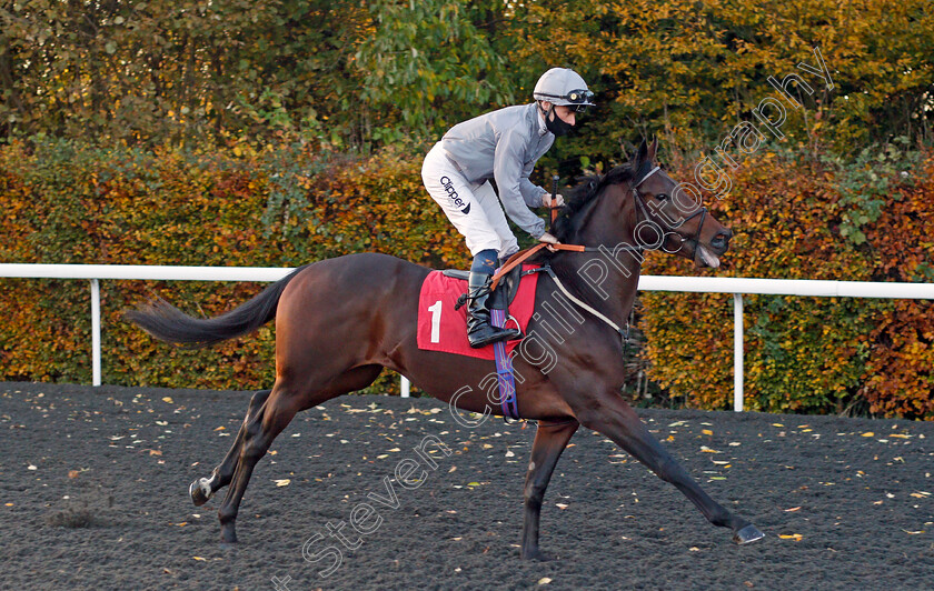 Action-Hero-0001 
 ACTION HERO (Kieren Shoemark)
Kempton 2 Nov 2020 - Pic Steven Cargill / Racingfotos.com