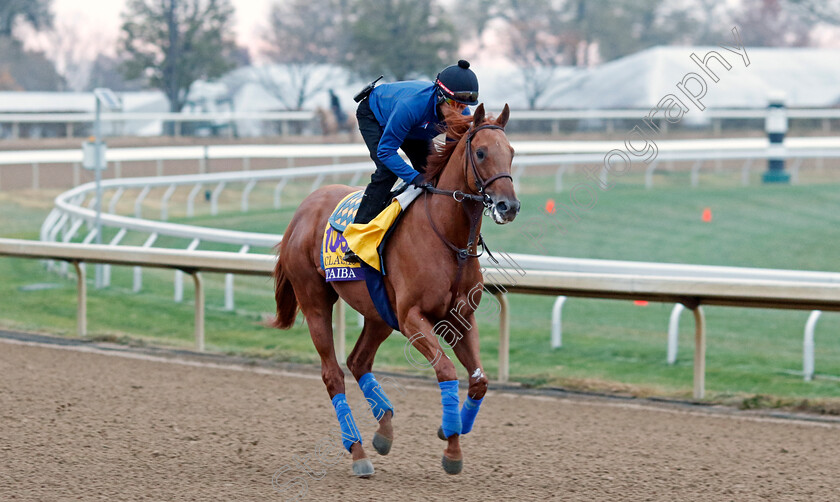 Taiba-0001 
 TAIBA training for the Breeders' Cup Classic
Keeneland USA 2 Nov 2022 - Pic Steven Cargill / Racingfotos.com