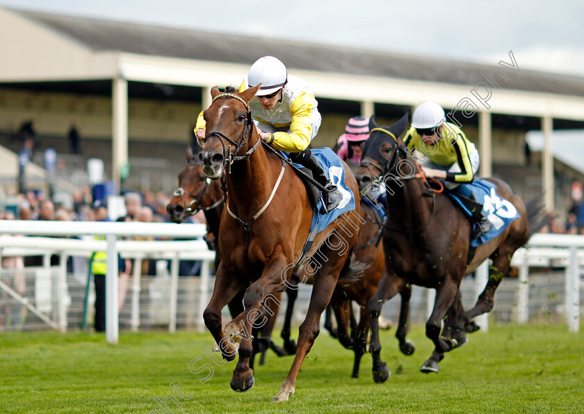 Kihavah-0004 
 KIHAVAH (Ryan Sexton) wins The Conundrum HR Consulting Handicap
York 11 May 2022 - Pic Steven Cargill / Racingfotos.com