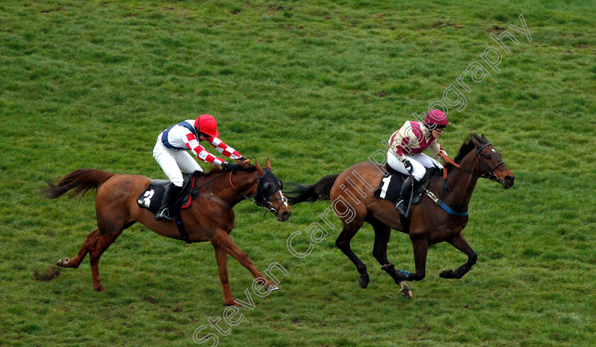 Master-Baker-0002 
 MASTER BAKER (right, Jo Supple) beats SOUTHFIELD VIC (left) in The BJP Insurance Brokers Open Hunters Chase
Newbury 22 Mar 2019 - Pic Steven Cargill / Racingfotos.com