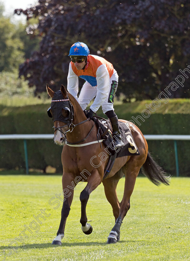 Willolarupi-0001 
 WILLOLARUPI (Dale Swift)
Nottingham 19 Jul 2024 - Pic Steven Cargill / Megan Dent / Racingfotos.com