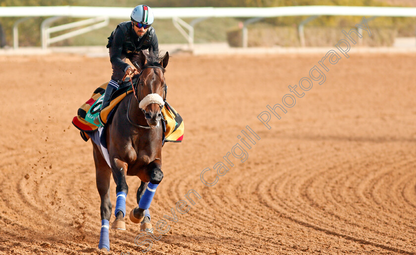 Gronkowski-0004 
 GRONKOWSKI preparing for The Saudi Cup
Riyadh Racetrack, Kingdom Of Saudi Arabia, 27 Feb 2020 - Pic Steven Cargill / Racingfotos.com