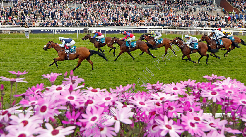 Regional-0002 
 REGIONAL (Callum Rodriguez) wins The Lindum York Handicap
York 18 May 2023 - Pic Steven Cargill / Racingfotos.com