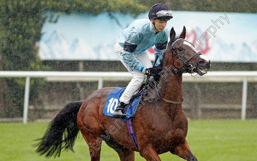 Orchid-0001 
 ORCHID (Billy Loughnane)
Leicester 10 Sep 2024 - Pic Steven Cargill / Racingfotos.com