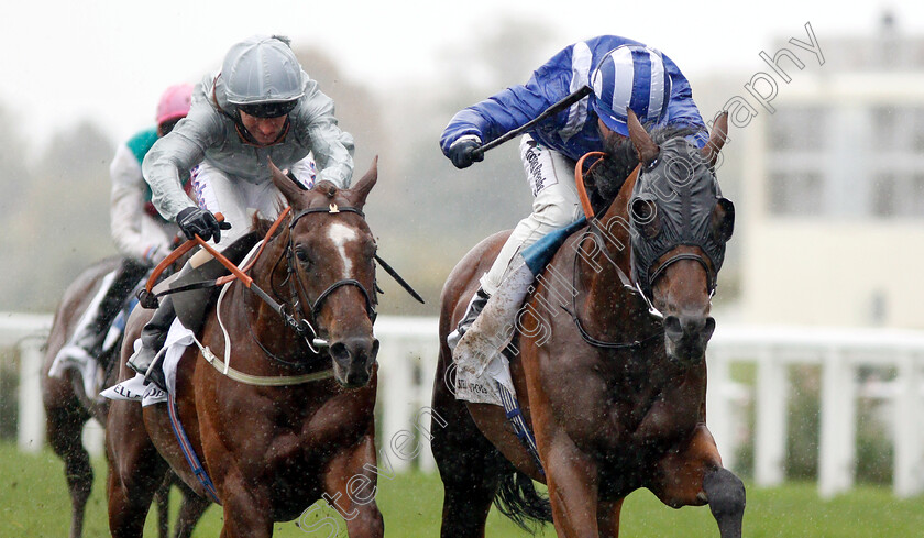 Laraaib-0007 
 LARAAIB (right, Jim Crowley) beats COMMUNIQUE (left) in The Stella Artois Cumberland Lodge Stakes
Ascot 6 Oct 2018 - Pic Steven Cargill / Racingfotos.com