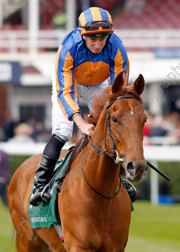 Port-Fairy-0001 
 PORT FAIRY (Ryan Moore)
Chester 8 May 2024 - Pic Steven Cargill / Racingfotos.com