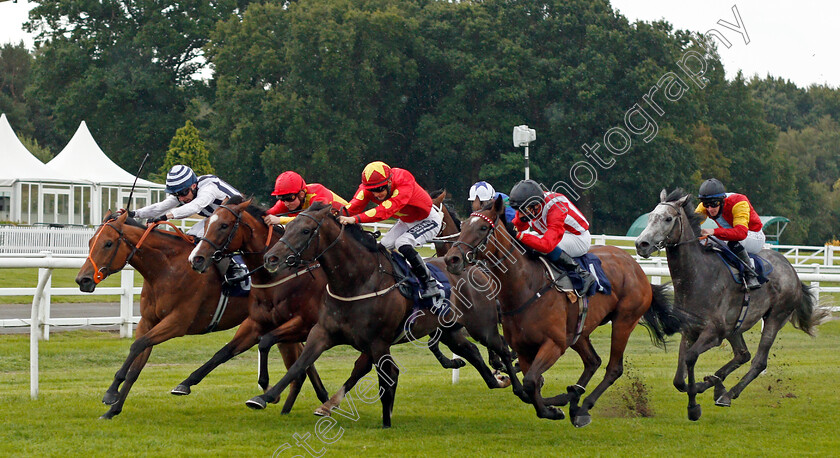 Redemptive-and-Mr-Millarcky-0002 
 REDEMPTIVE (2nd right, William Buick) dead-heats with MR MILLARCKY (left, Shane Kelly) from HE'S OUR STAR (centre) and NEWTON JACK (2nd left) in The Read Andrew Balding On Betway Insider Handicap
Lingfield 2 Sep 2020 - Pic Steven Cargill / Racingfotos.com