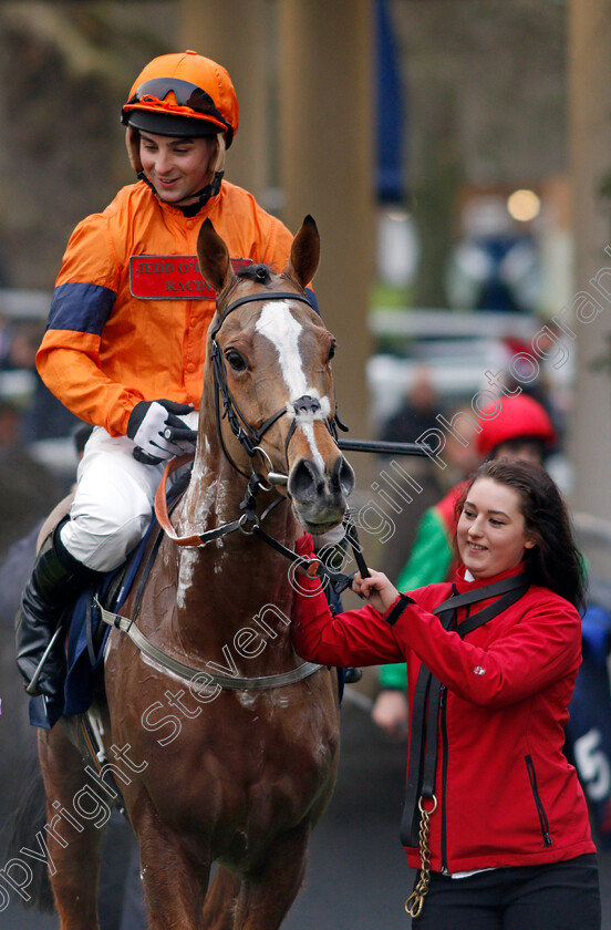 Sam-Spinner-0013 
 SAM SPINNER (Joe Colliver) after The JLT Reve De Sivola Long Walk Hurdle Ascot 23 Dec 2017 - Pic Steven Cargill / Racingfotos.com