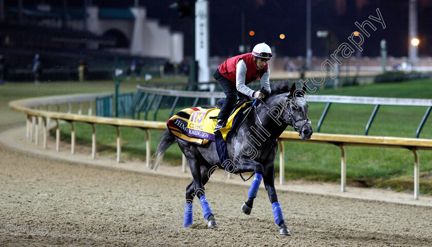 Roaring-Lion-0001 
 ROARING LION exercising ahead of The Breeders' Cup Classic
Churchill Downs USA 30 Oct 2018 - Pic Steven Cargill / Racingfotos.com