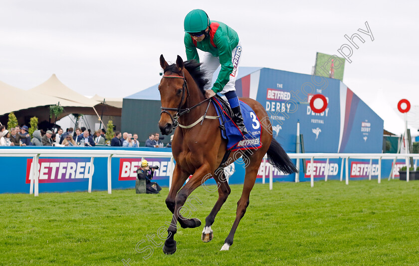 Ezeliya-0012 
 EZELIYA (Chris Hayes) winner of The Betfred Oaks
Epsom 31 May 2024 - pic Steven Cargill / Racingfotos.com