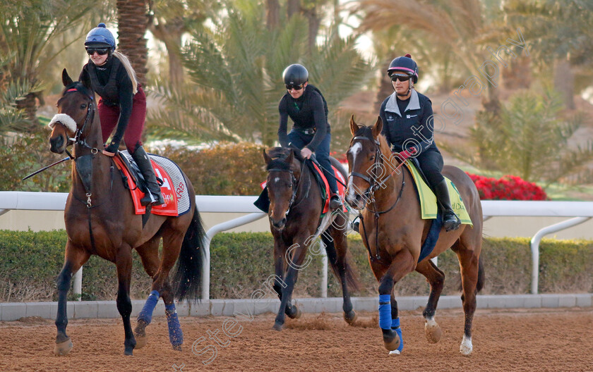 Al-Qareem-and-Sir-Busker-0001 
 AL QAREEM (left) training for The Red Sea Turf Handicap with SIR BUSKER (right) training for The Neom Turf Cup
King Abdulaziz Racecourse, Kingdom Of Saudi Arabia, 23 Feb 2023 - Pic Steven Cargill / Racingfotos.com