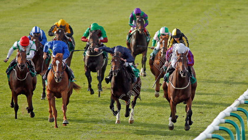 Laurens-0002 
 LAURENS (right, P J McDonald) beats SEPTEMBER (2nd right) and MAGIC LILY (2nd left) in The bet365 Fillies Mile Newmarket 13 Oct 2017 - Pic Steven Cargill / Racingfotos.com