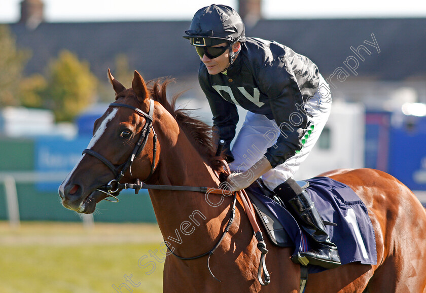 Carlos-Felix-0002 
 CARLOS FELIX (Jamie Spencer)
Yarmouth 19 Sep 2019 - Pic Steven Cargill / Racingfotos.com