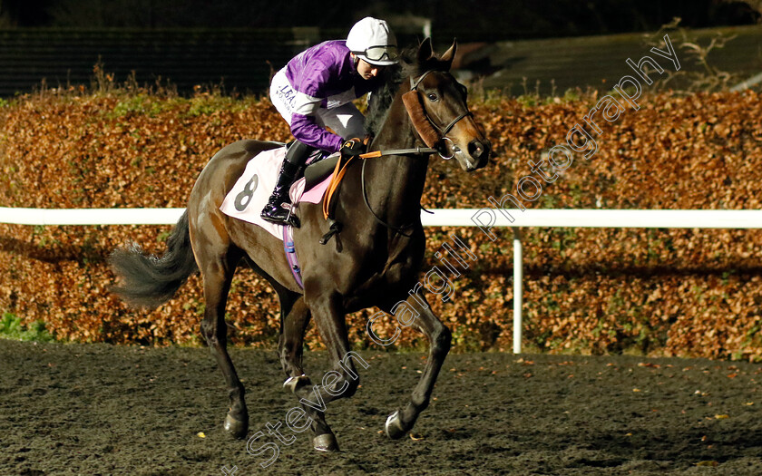 Soham-Ranger-0001 
 SOHAM RANGER (Adam Farragher)
Kempton 13 Dec 2023 - Pic Steven Cargill / Racingfotos.com