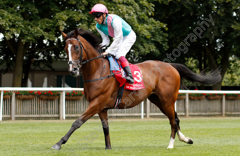 First-Eleven-0003 
 FIRST ELEVEN (Frankie Dettori)
Newmarket 12 Jul 2018 - Pic Steven Cargill / Racingfotos.com