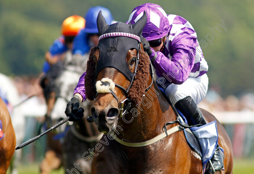 Raatea-0001 
 RAATEA (James Doyle) wins The Sky Bet Reverence Handicap
Haydock 10 Jun 2023 - Pic Steven Cargill / Racingfotos.com