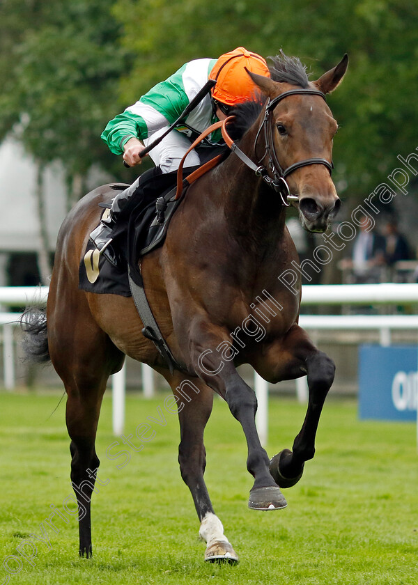 No-Half-Measures-0003 
 NO HALF MEASURES (Ryan Moore) wins The Blake-Turner Solicitors Handicap
Newmarket 12 Jul 2024 - pic Steven Cargill / Racingfotos.com