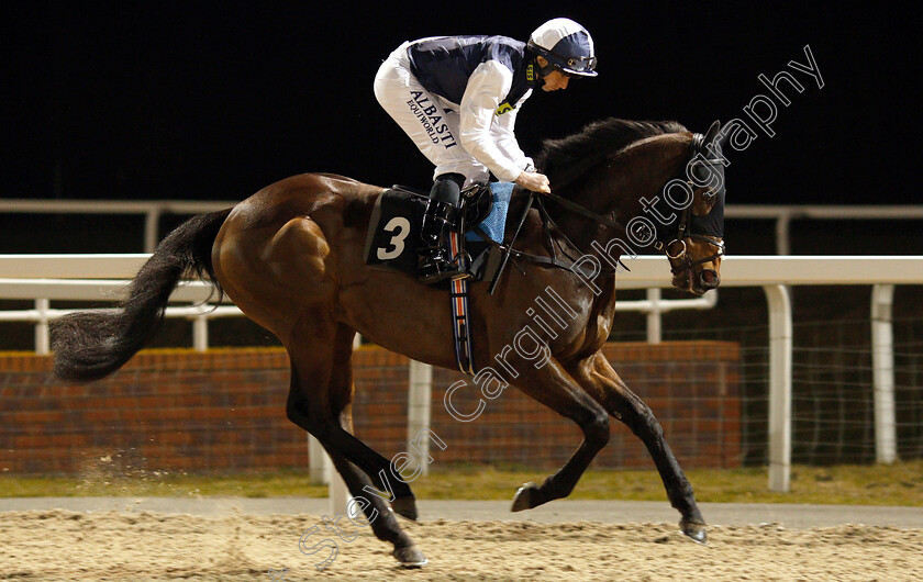 Albert-Finney-0003 
 ALBERT FINNEY (Ryan Moore)
Chelmsford 21 Feb 2019 - Pic Steven Cargill / Racingfotos.com