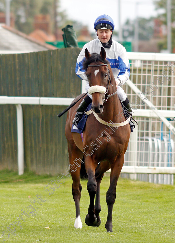 Ideal-Guest-0001 
 IDEAL GUEST (Tom Queally)
Yarmouth 14 Jul 2021 - Pic Steven Cargill / Racingfotos.com