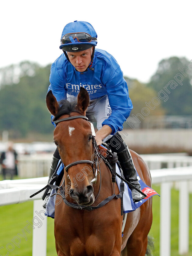 Mawj 
 MAWJ (Ray Dawson)
York 18 Aug 2022 - Pic Steven Cargill / Racingfotos.com