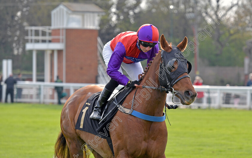 Red-Allure-0001 
 RED ALLURE (Andrew Breslin)
Nottingham 22 Apr 2023 - pic Steven Cargill / Becky Bailey / Racingfotos.com