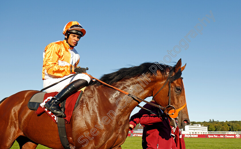 Jayarebe-0005 
 JAYAREBE (Sean Levey) winner of The Qatar Prix Dollar
Longchamp 5 Oct 2024 - Pic Steven Cargill / Racingfotos.com