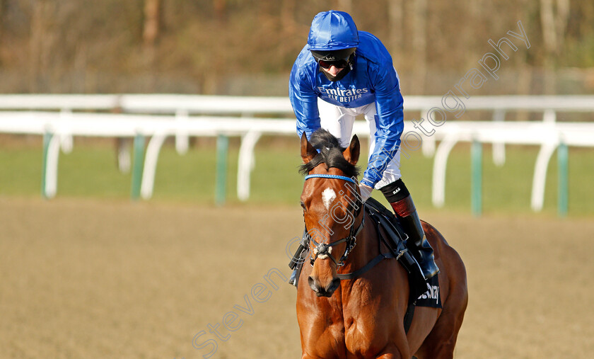 Forest-Of-Dean-0001 
 FOREST OF DEAN (Robert Havlin) winner of The Betway Winter Derby Stakes
Lingfield 27 Feb 2021 - Pic Steven Cargill / Racingfotos.com