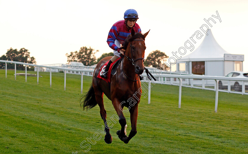 Tynecastle-Park-0001 
 TYNECASTLE PARK (Molly Presland)
Sandown 21 Jul 2021 - Pic Steven Cargill / Racingfotos.com