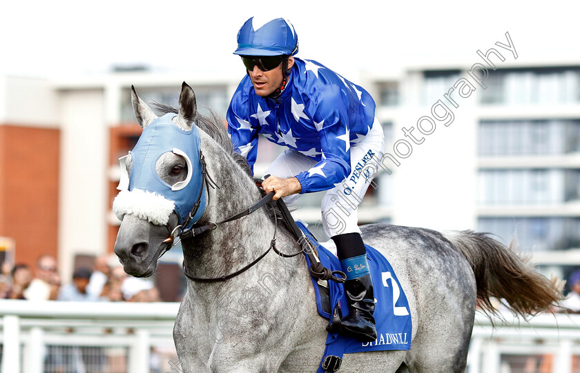 Gazwan-0005 
 GAZWAN (Olivier Peslier) wins The Shadwell Dubai International 
Newbury 28 Jul 2019 - Pic Steven Cargill / Racingfotos.com