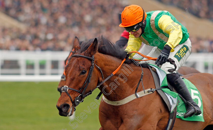 Midnight-Shadow-0008 
 MIDNIGHT SHADOW (Danny Cook) wins The Paddy Power Broken Resolutions Already Dipper Novices Chase
Cheltenham 1 Jan 2020 - Pic Steven Cargill / Racingfotos.com