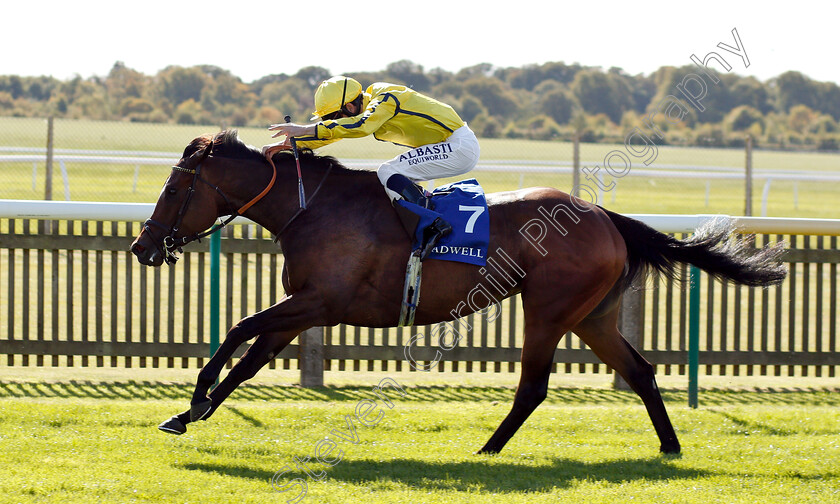 Beshaayir-0005 
 BESHAAYIR (Oisin Murphy) wins The Muhaarar British EBF Rosemary Stakes
Newmarket 28 Sep 2018 - Pic Steven Cargill / Racingfotos.com