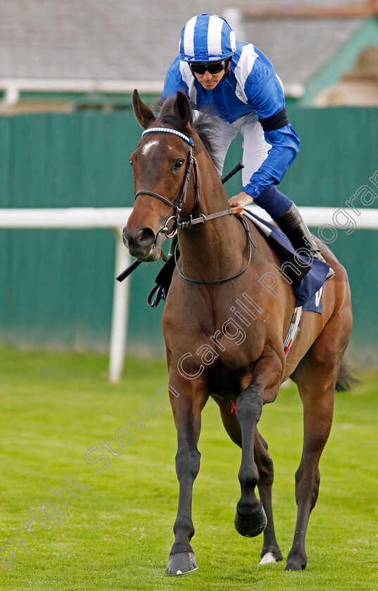 Tarhib-0007 
 TARHIB (Jim Crowley) winner of The Bob Hunt's Race Day Fillies Handicap
Yarmouth 13 Sep 2022 - Pic Steven Cargill / Racingfotos.com