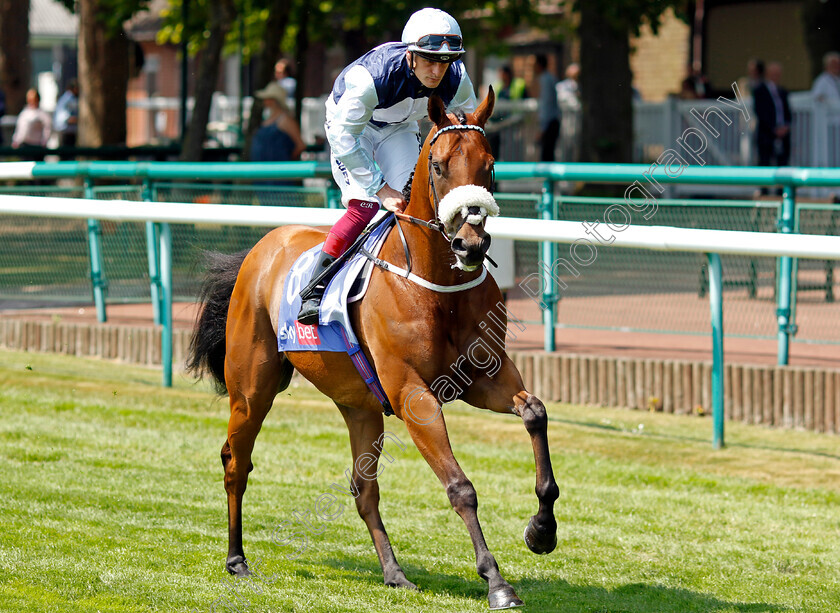 Regional-0007 
 REGIONAL (Callum Rodriguez) winner of The Sky Bet Achilles Stakes
Haydock 10 Jun 2023 - Pic Steven Cargill / Racingfotos.com