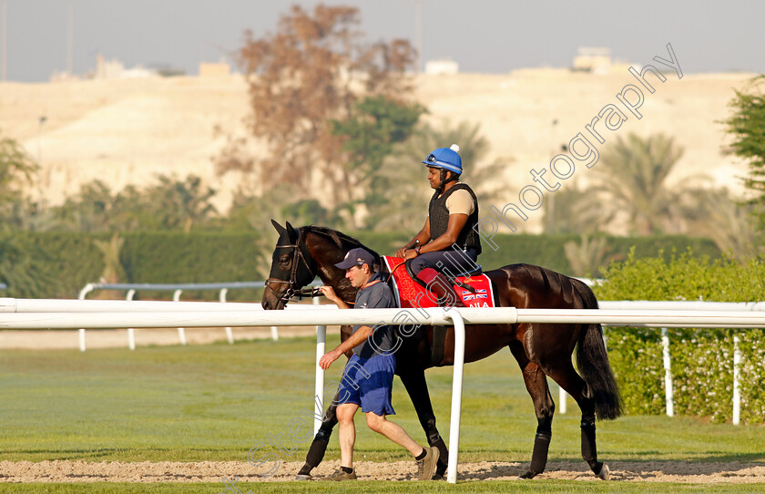 Alflaila-0003 
 ALFLAILA training for the Bahrain International Trophy
Kingdom of Bahrain 13 Nov 2024 - Pic Steven Cargill / Racingfotos.com