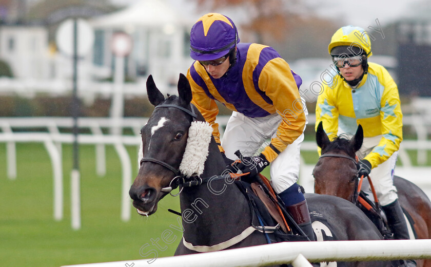 Lady-Babs-0005 
 LADY BABS (Conor Rabbitt) winner of The Pertemps Network Handicap Hurdle
Market Rasen 17 Nov 2022 - pic Steven Cargill / Racingfotos.com