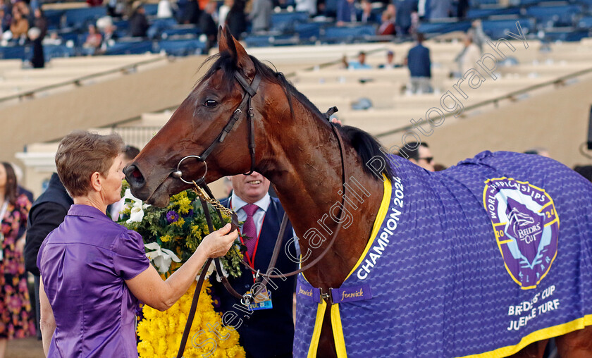 Henri-Matisse-0009 
 HENRI MATISSE winner of the Breeders' Cup Juvenile Turf
Del Mar USA 1 Nov 2024 - Pic Steven Cargill / Racingfotos.com