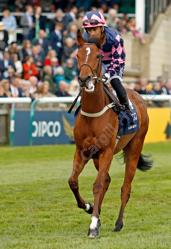 Flash-Betty 
 FLASH BETTY (Silvestre De Sousa)
Newmarket 1 May 2022 - Pic Steven Cargill / Racingfotos.com