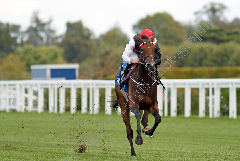 Bartzella-0005 
 BARTZELLA (Tom Marquand) wins The Troy Asset Management Novice Stakes
Ascot 1 Oct 2021 - Pic Steven Cargill / Racingfotos.com