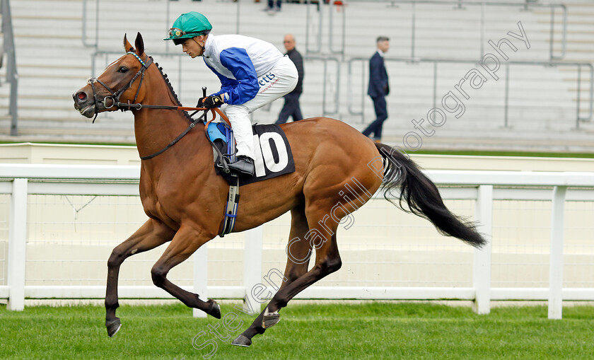 Beauty-By-My-Side-0002 
 BEAUTY BY MY SIDE (Benoit de la Sayette)
Ascot 6 Sep 2024 - Pic Steven Cargill / Racingfotos.com