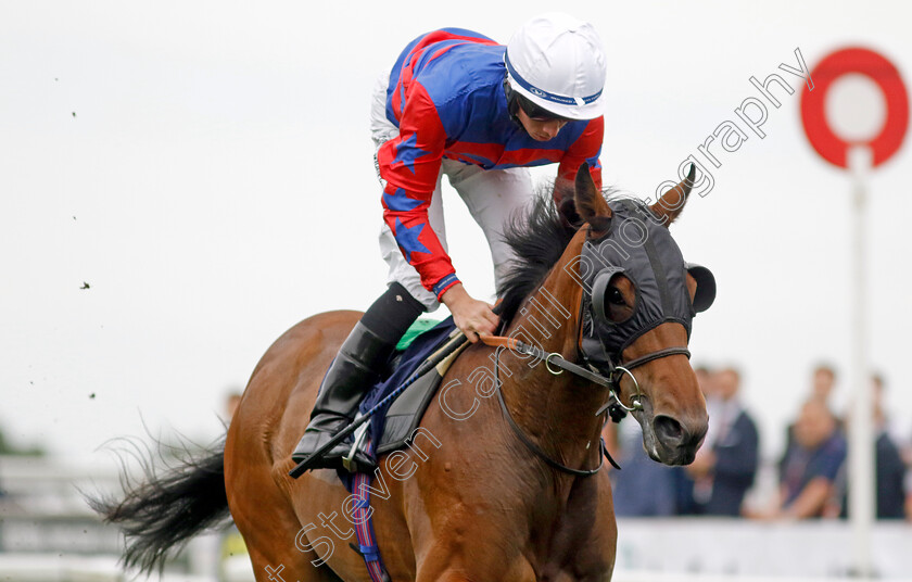 Mayo-Neighs-0001 
 MAYO NEIGHS (Rossa Ryan) wins The Breast Cancer UK Nursery
Yarmouth 21 Sep 2023 - Pic Steven Cargill / Racingfotos.com