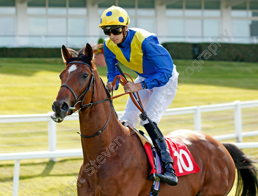 My-Frankel-0001 
 MY FRANKEL (Louis Steward)
Sandown 30 Aug 2019 - Pic Steven Cargill / Racingfotos.com