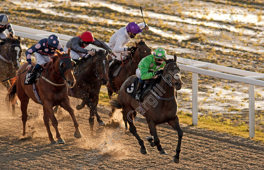 Passional-0006 
 PASSIONAL (Luke Catton) wins The tote Placepot Your First Bet Apprentice Handicap
Chelmsford 18 Feb 2021 - Pic Steven Cargill / Racingfotos.com