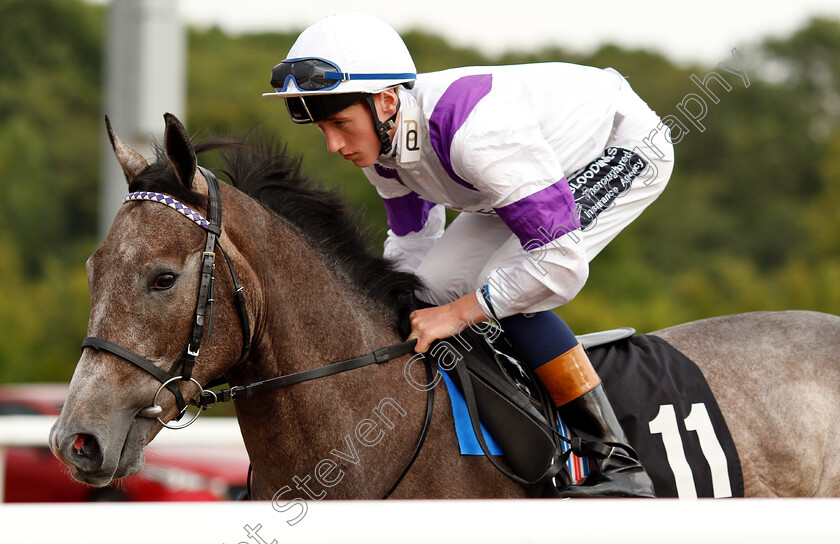 Zeebad-0001 
 ZEEBAD (David Egan)
Chelmsford 24 Jul 2018 - Pic Steven Cargill / Racingfotos.com